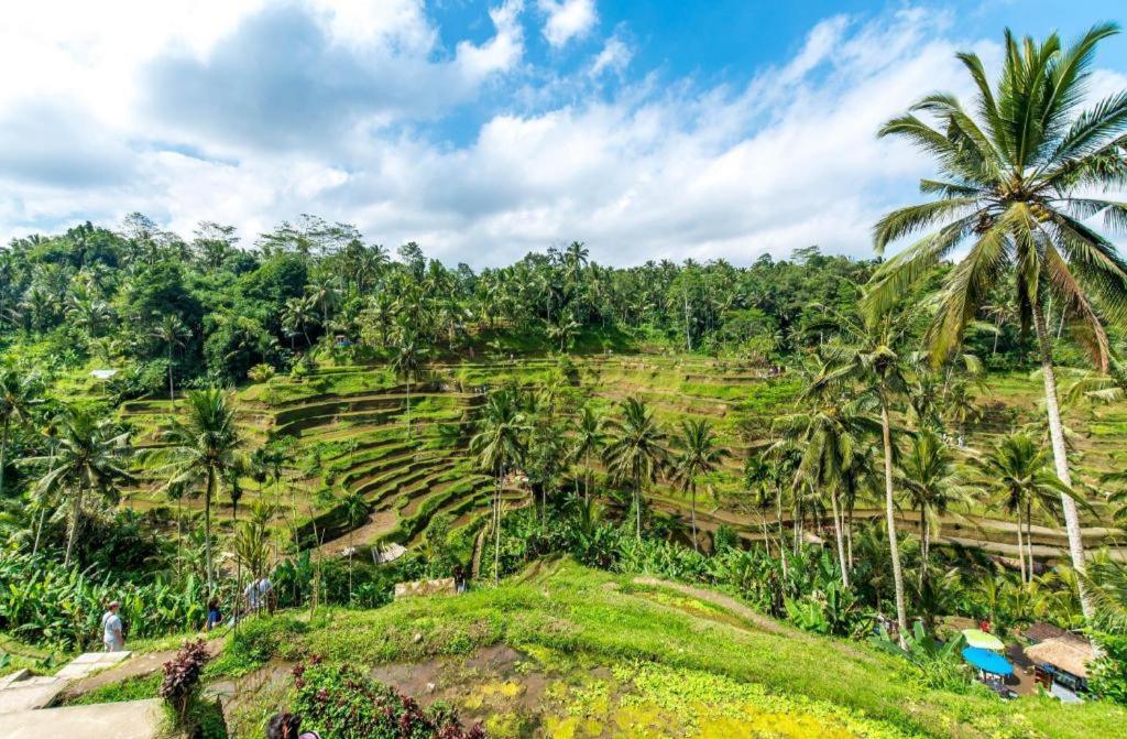 Caldera Hotel & Restaurant BALI Exterior foto